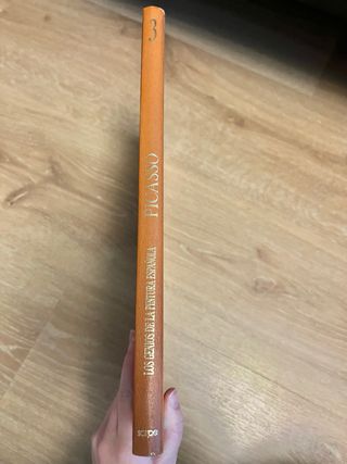 Picasso (Los Genios de la Pintura Espanola)