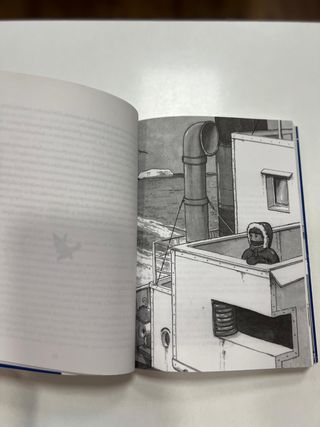 Aventura en el mar helado