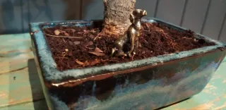 FIGURITA PARA BONSAI