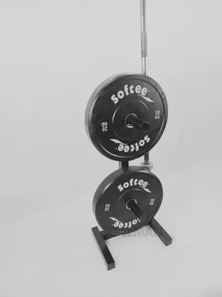 Soporte Discos olimpicos y landmine