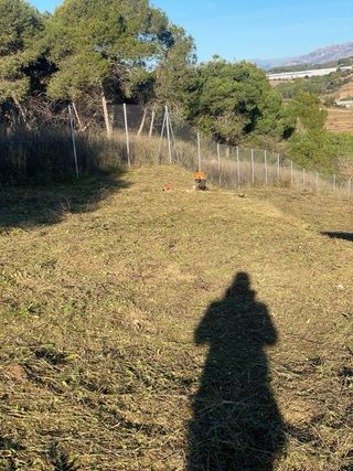 Servicio de desbroce y limpieza de parcelas