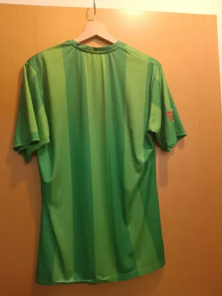 Maglietta calcio Serie A verde a righe