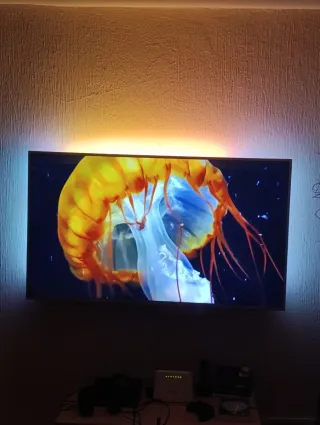 Televisor Philips 65 Plata