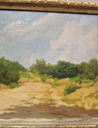 Agostino Zucchini Paesaggio Olio su Tela