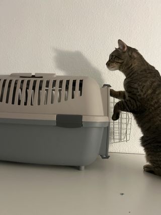 Transportín para perro o gato beige y gris