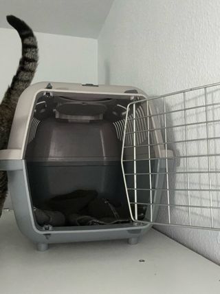 Transportín para perro o gato beige y gris