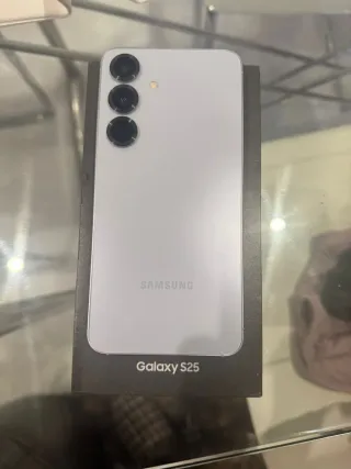 Samsung Galaxy S25