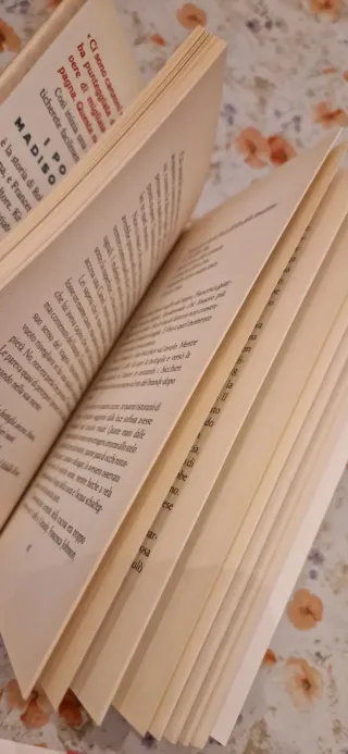 I ponti di Madison County, Romanzo