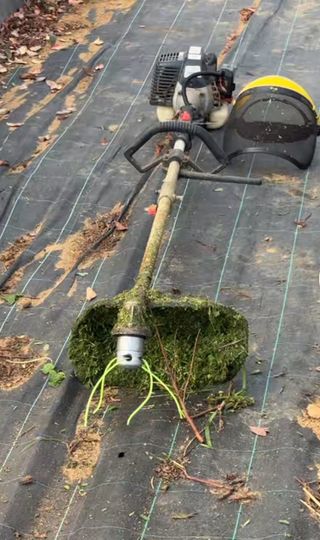 Mantenimiento de jardines y zonas comunes