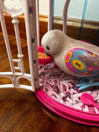 Carruaje de sirenas y barco pirata, con pájaro.