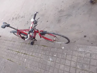 Bicicleta Grisley Top Line Roja