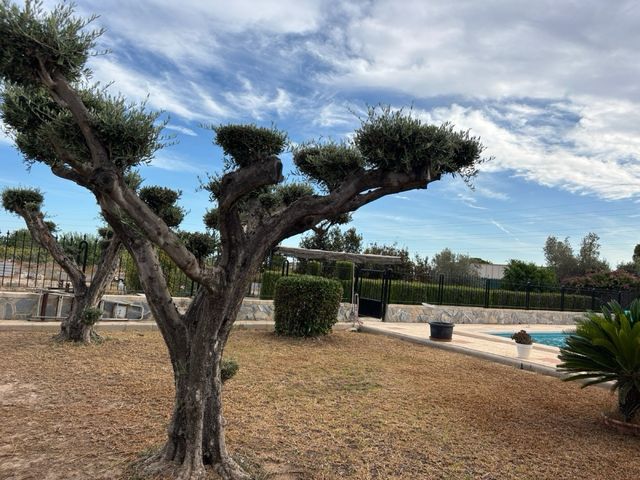 OCASIÓN: Vendo Chalet en Elche (Alicante),