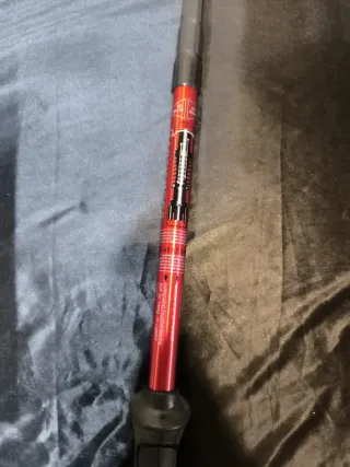 Bastones de Trekking Telescópicos