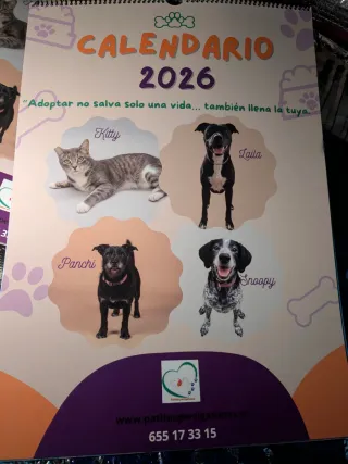 Calendario Solidario 2026. Tamaño A3