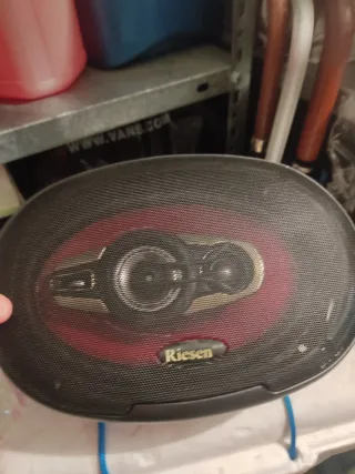 Altavoces Riesen CAR-6940RIJ 380W