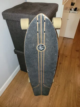 Skate Longboard con Protección