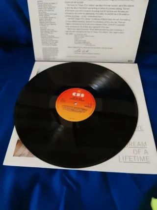 LP Marvin Gaye - Dream of a lifetime