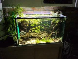 Acuario 300L Cristal y Madera