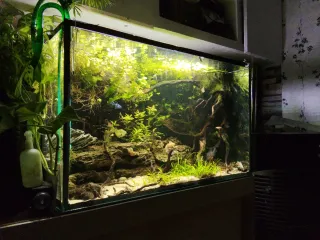 Acuario 300L Cristal y Madera