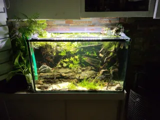 Acuario 300L Cristal y Madera