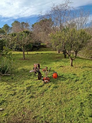 Desbroce de terrenos y parcelas