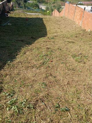 Desbroce de terrenos y parcelas