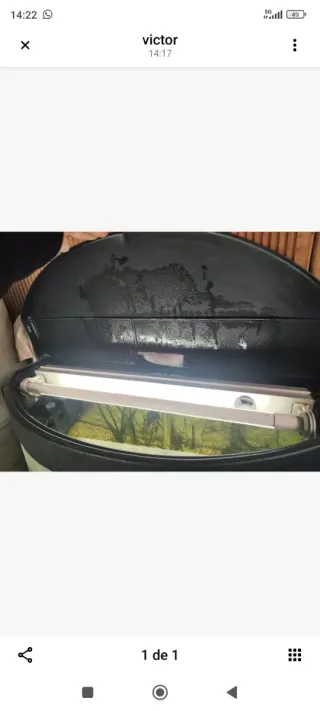 2 acuarios: 1 curvo 100L y 1 nano 20L