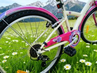 Citybike ragazza Btwin 24 pollici cambio Shimano