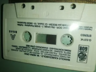 Manolo Cabeza Bolo - Punk Rock