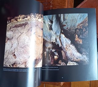 Cuevas con Arte Paleolítico en Cantabria.