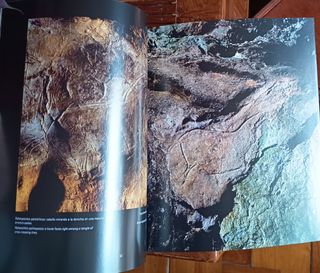 Cuevas con Arte Paleolítico en Cantabria.