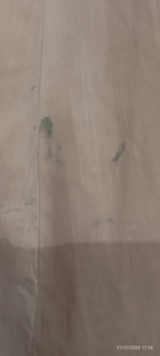 Enagua de encaje blanco vintage