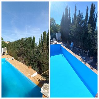 Poda de setos y árboles