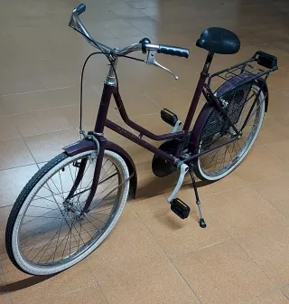 Bicicleta Antigua Rueda 24 BIKE PROJECT