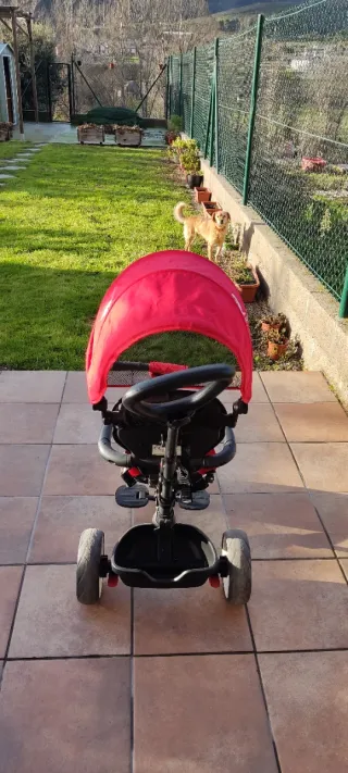 Triciclo Evolutivo QPlay Rito