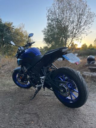 Yamaha MT 125 Icon Blue