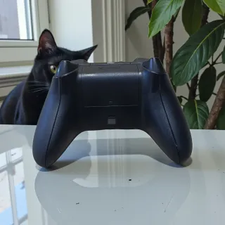 Mando Xbox Series X/S y PC Negro