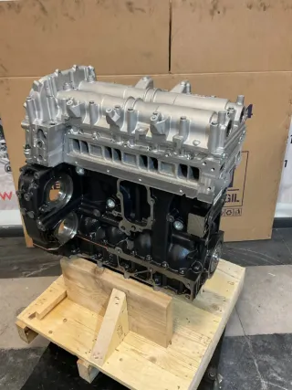 Motor F1AGL411B - F1AGL411G - F1AGL411N - F1AGL411