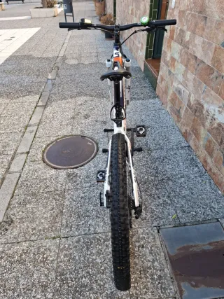 Bicicleta Eléctrica Haibike SDURO 29