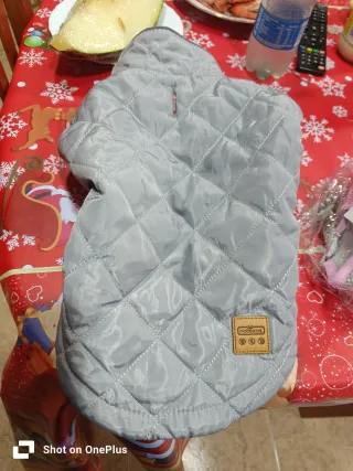 Ropa para mascotas gris y blanca