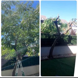 Jardinero económico