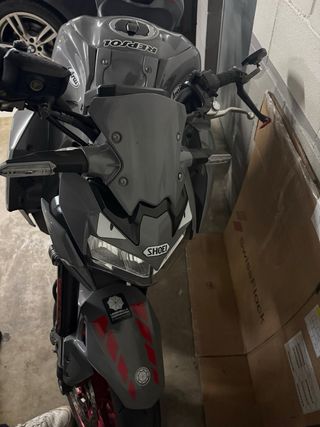 Kawasaki Z900 Full 2021