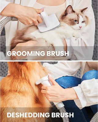 Aspirador Mascotas Petchois Ref-GV1 Nuevo,Quita Pelos Mascotas, Máquina Cortapelo pelo Perros, Cortapelos Perros, Aspirador Pelos Mascotas, Kit de Cuidado de Mascotas Todo-en-Uno Electrónico