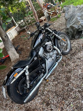 Harley Davidson XL883L 78.000 km