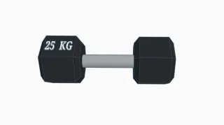 Llaveros Pesas Gym (25kg y 55lb)