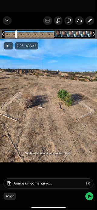 Redes para silvestrismo