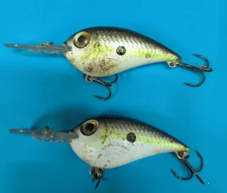 Lote 2 Señuelos Rapala 9-10 HSD.