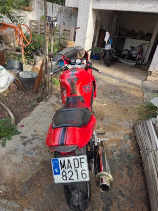 Triumph Sprint RS 955i