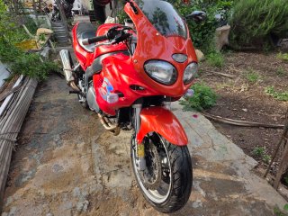 Triumph Sprint RS 955i