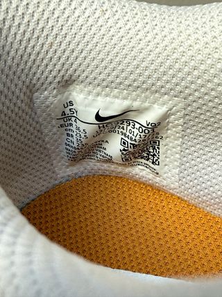 Nike Dunk Low Desert Ochre [36.5]